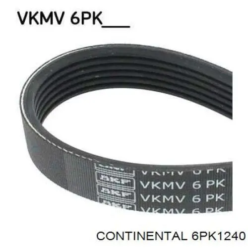 Comprar 6PK1240 Continental/Siemens Correa trapezoidal