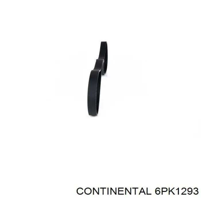6PK1293 Continental/Siemens Correa poly v