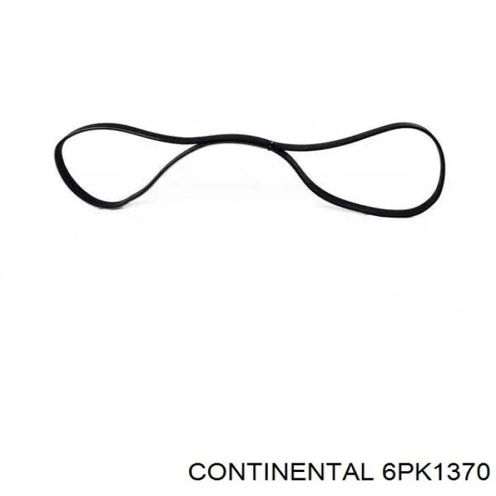 6PK1370 Continental/Siemens Correa poly v