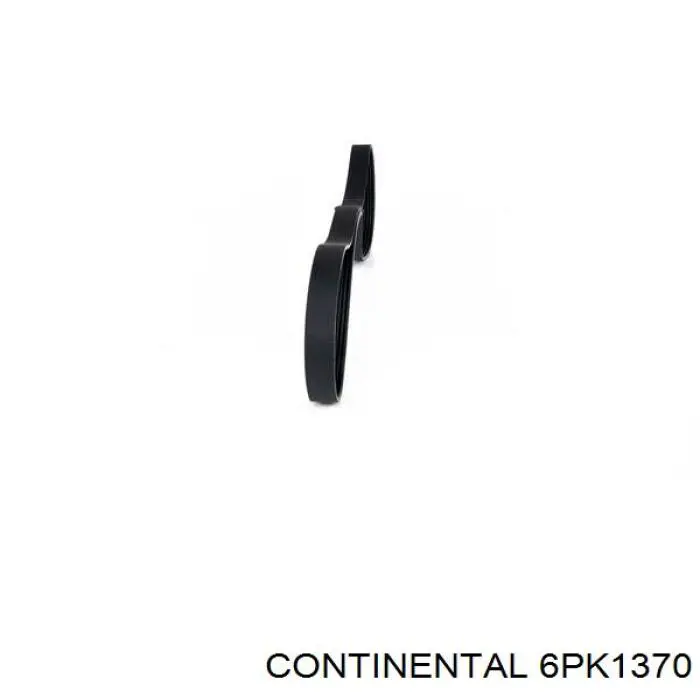 Correa de alternador 6PK1370 Continental/Siemens