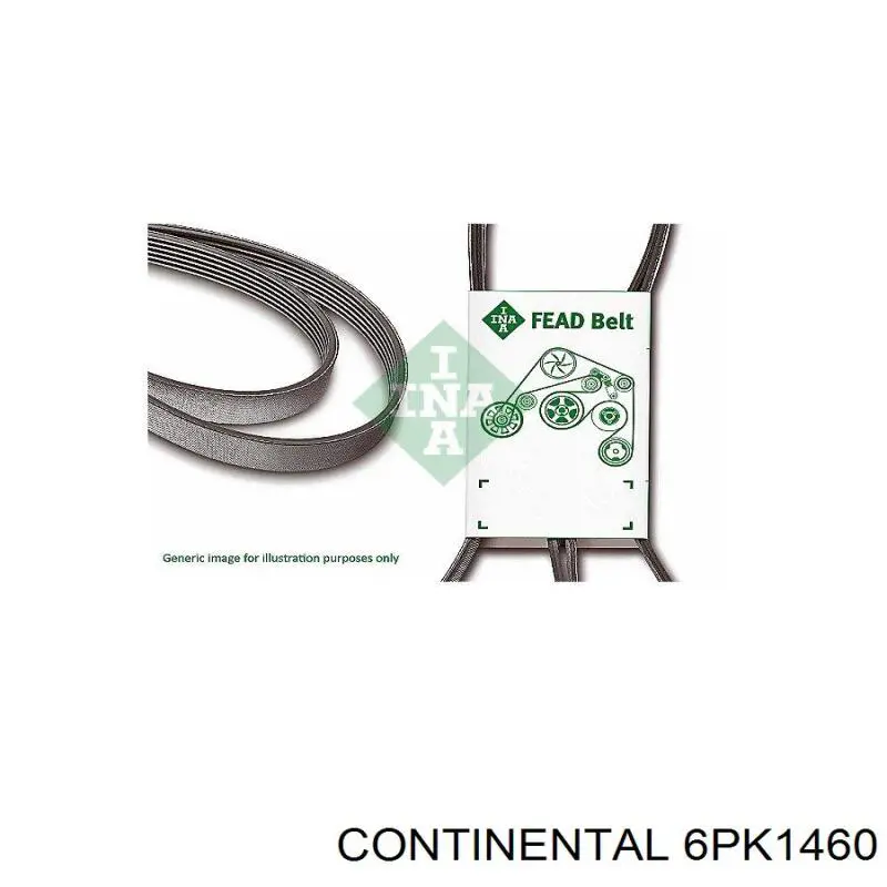 Correa de transmisión trapezoidal Continental/Siemens 6PK1460 precio, desde 30,88 EUR