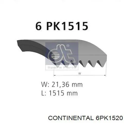 6PK1520 Continental/Siemens Correa poly v