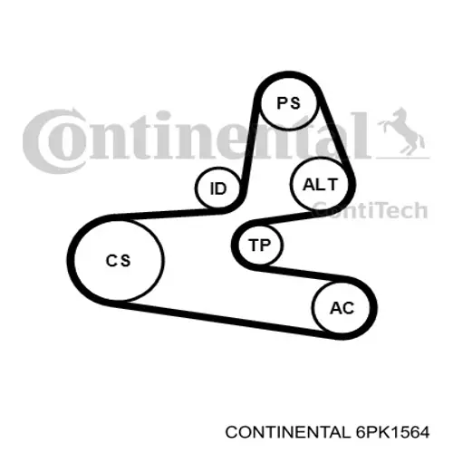 6PK1564 Continental/Siemens correa trapezoidal