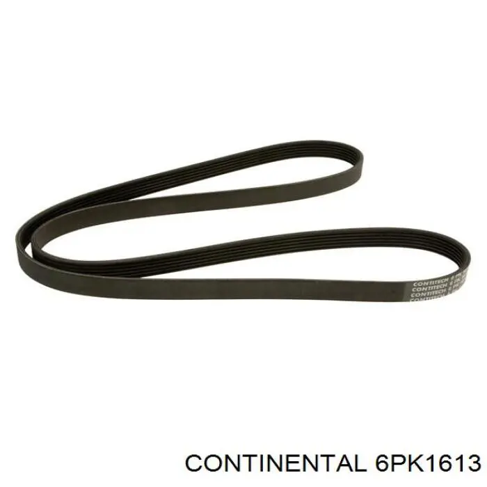 Correa de alternador 6PK1613 Continental/Siemens