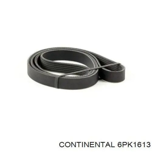Correa accesorios Continental/Siemens 6PK1613