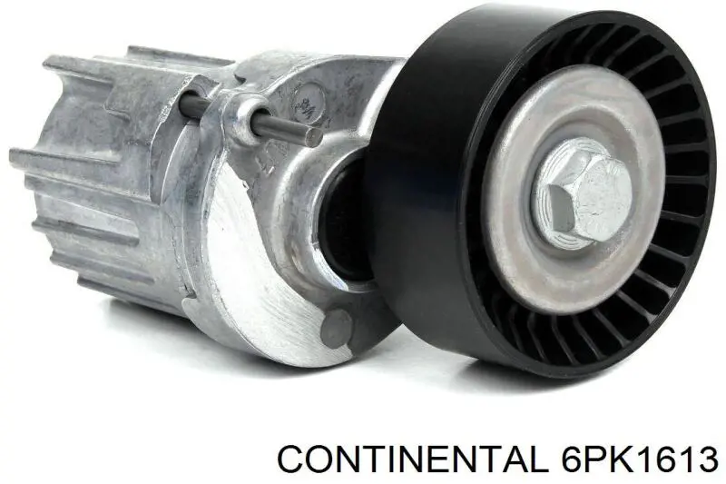 6PK1613 Continental/Siemens Correa poly v