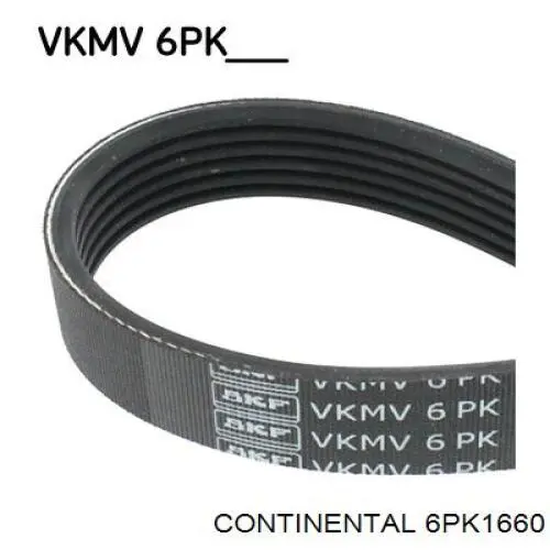Comprar 6PK1660 Continental/Siemens Correa trapezoidal