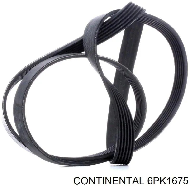 Correa de alternador 6PK1675 Continental/Siemens