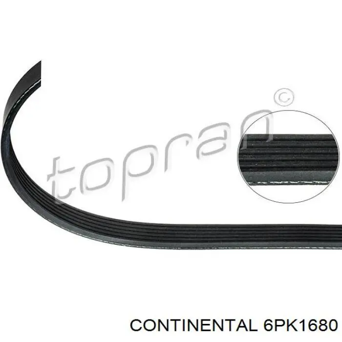 Correa de alternador 6PK1680 Continental/Siemens