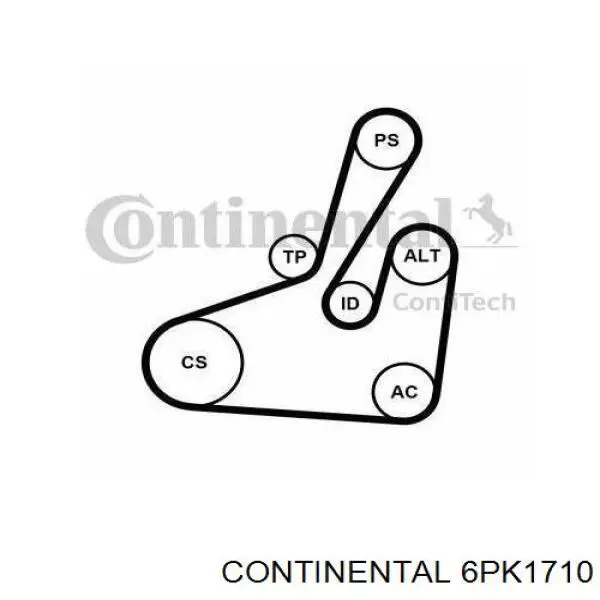 Correa de transmisión trapezoidal Continental/Siemens 6PK1710 precio, desde 27,92 EUR