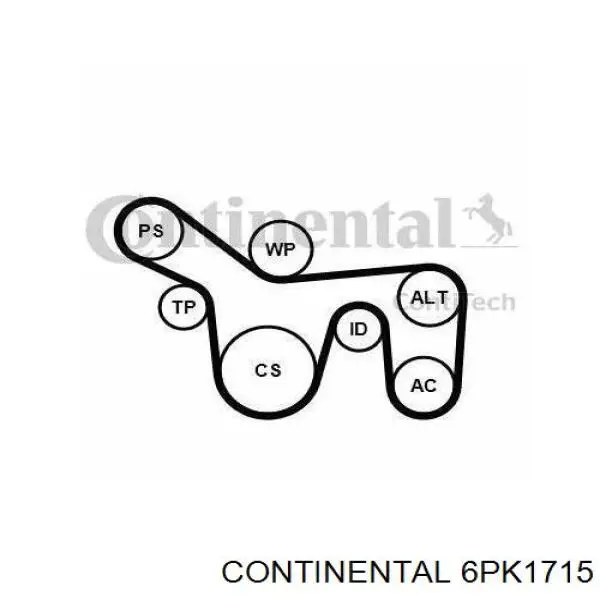 6PK1715 Continental/Siemens correa trapezoidal