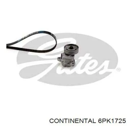 Correa de transmisión trapezoidal Continental/Siemens 6PK1725 precio, desde 34,66 EUR