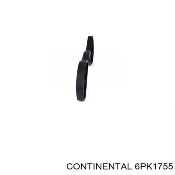 6PK1755 Continental/Siemens correa trapezoidal