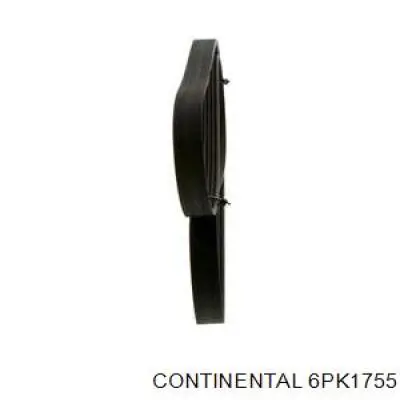 305B0285 Ridex Correa poly v