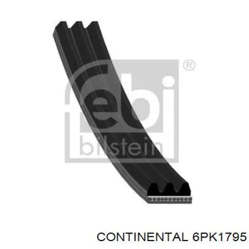 Correa de transmisión trapezoidal Fiat/Alfa/Lancia 71739916 precio, desde 22,01 EUR