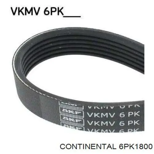 Correa de transmisión trapezoidal Continental/Siemens 6PK1800 precio, desde 32,72 EUR