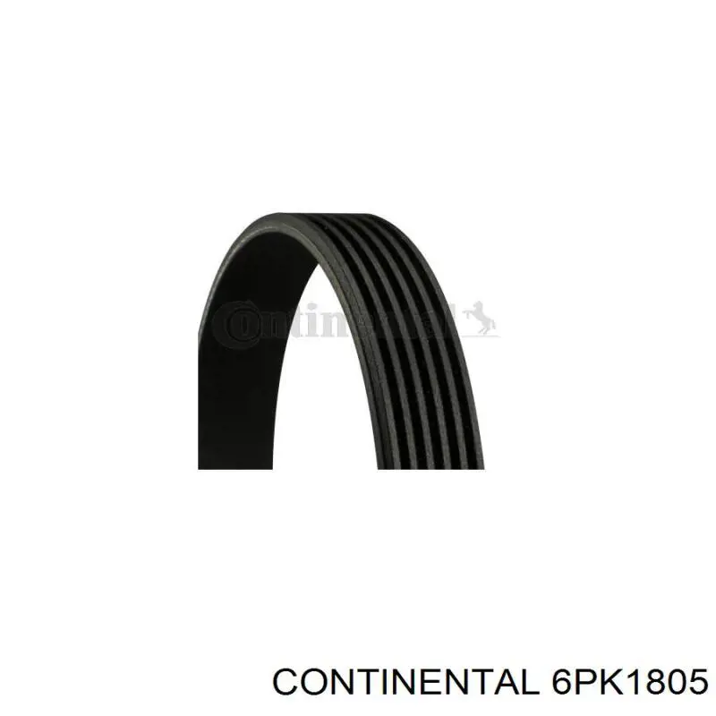 Correa de alternador 6PK1805 Continental/Siemens