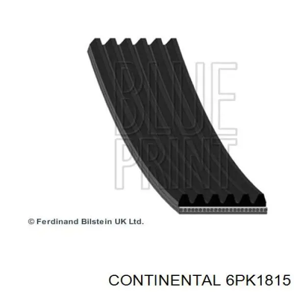 Correa de alternador 6PK1815 Continental/Siemens