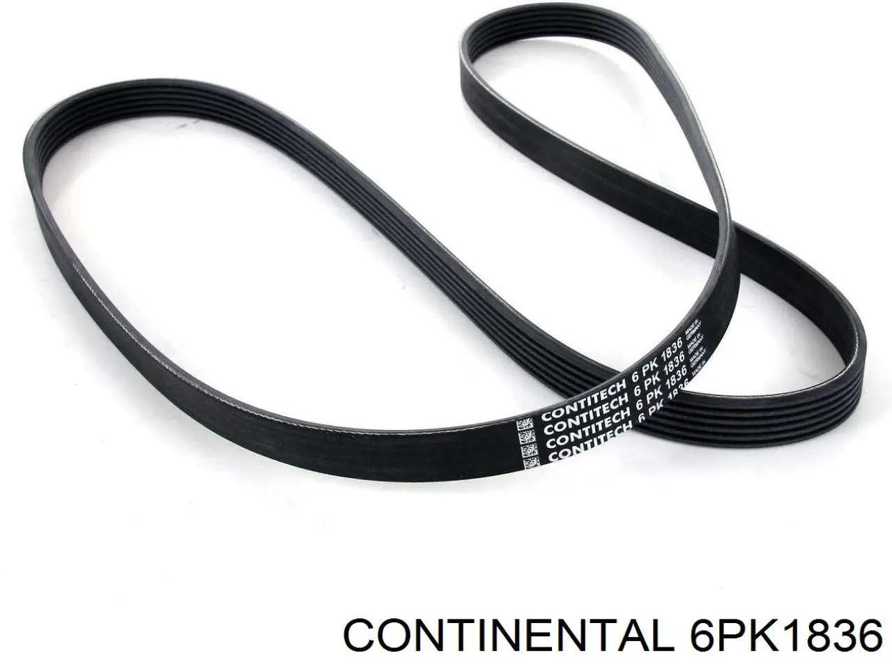 6PK1836 Continental/Siemens correa trapezoidal