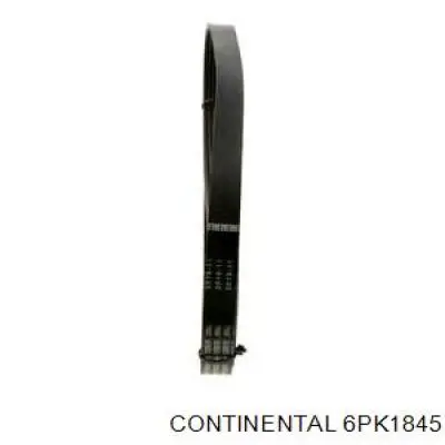 Correa de transmisión trapezoidal Continental/Siemens 6PK1845 precio, desde 38,83 EUR