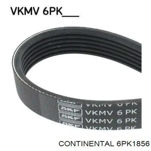 Correa de alternador 6PK1856 Continental/Siemens