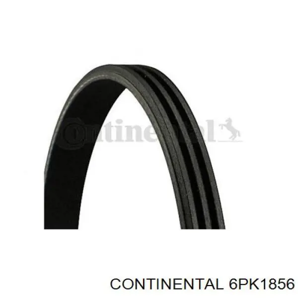 Correa de transmisión trapezoidal INA FB6PK1856 precio, desde 41,05 EUR