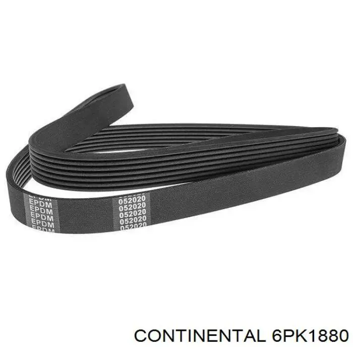 6PK1880 Continental/Siemens correa trapezoidal