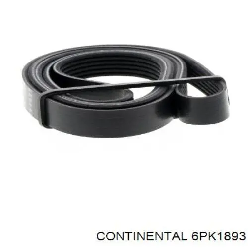 6PK1893 Continental/Siemens Correa poly v