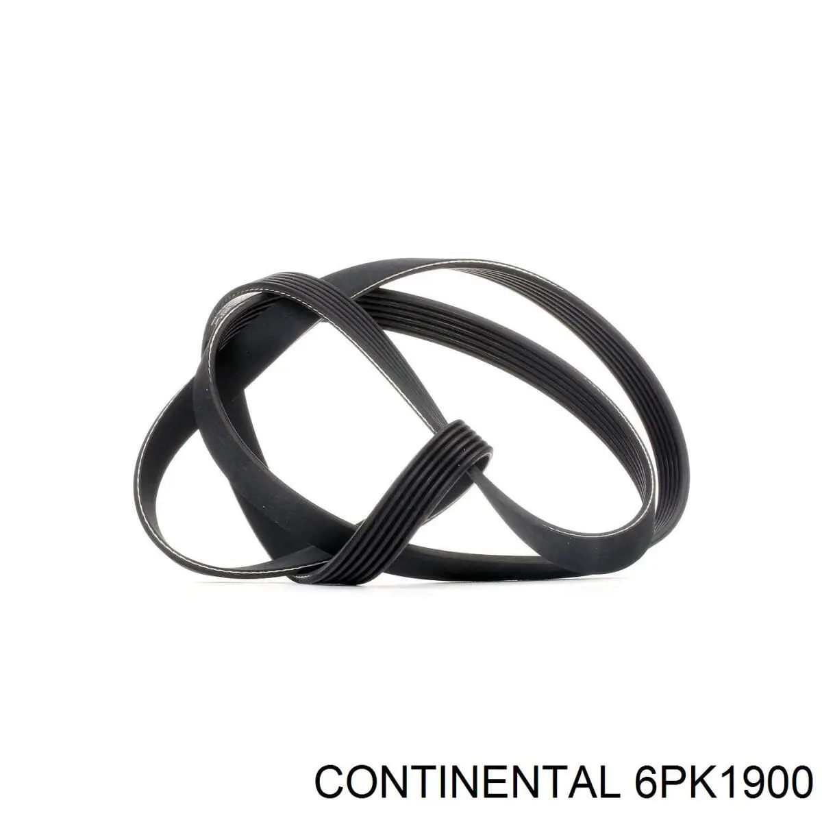 6PK1900 Continental/Siemens Correa poly v