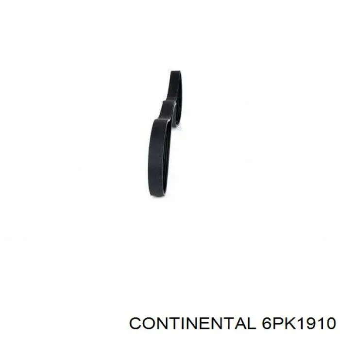 6PK1910 Continental/Siemens Correa poly v