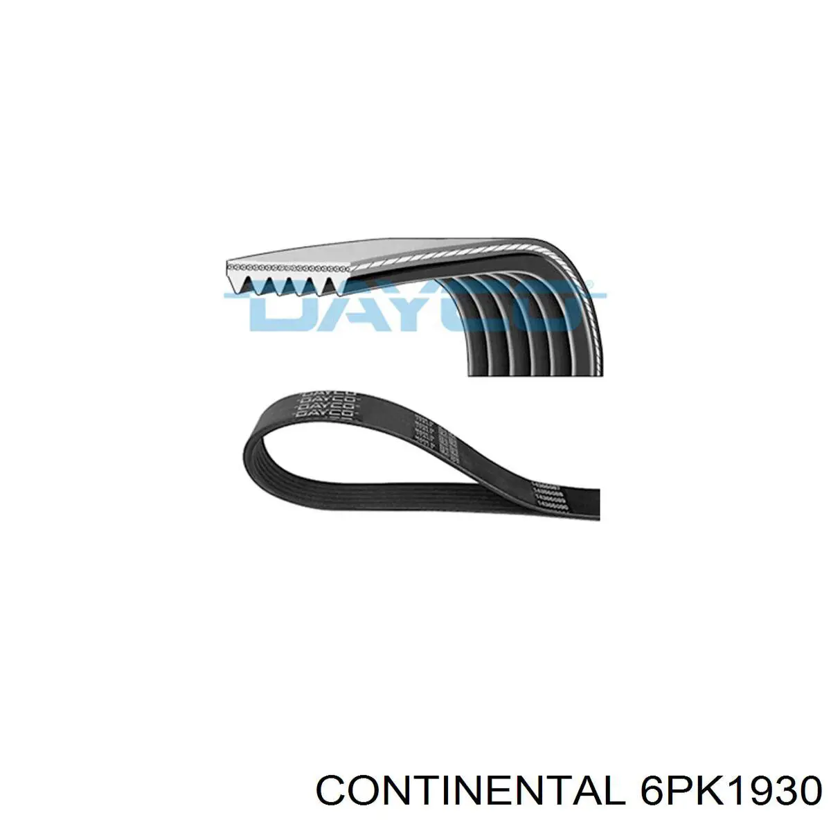 Correa de alternador 6PK1930 Continental/Siemens