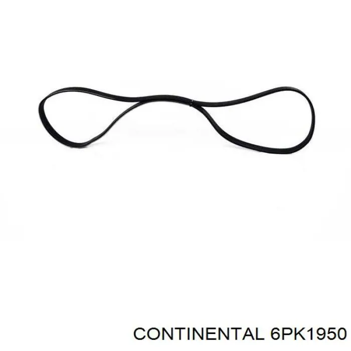Correa de transmisión trapezoidal Continental/Siemens 6PK1950 precio, desde 36,60 EUR