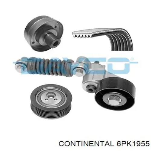 Correa de transmisión trapezoidal Continental/Siemens 6PK1955 precio, desde 35,06 EUR