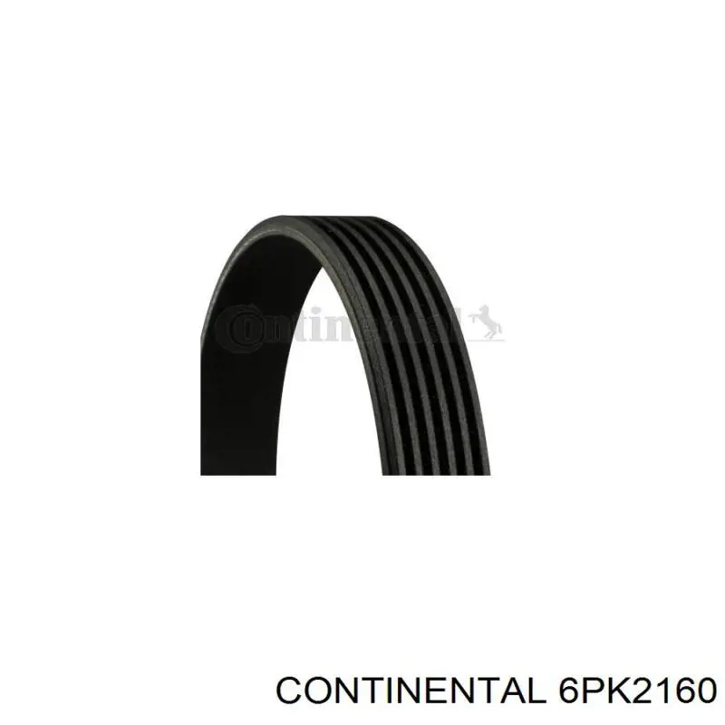 Correa de transmisión trapezoidal Continental/Siemens 6PK2160 precio, desde 42,55 EUR