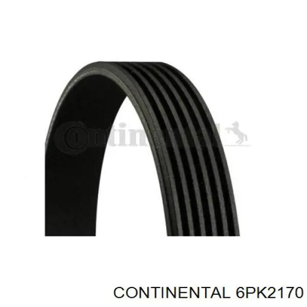 6PK2170 Continental/Siemens Correa poly v