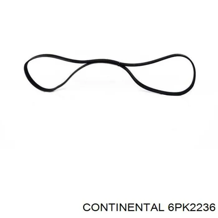 6PK2236 Continental/Siemens Correa poly v