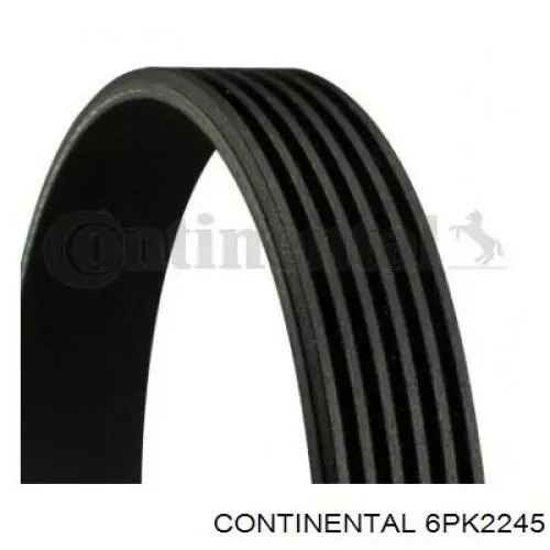 Correa accesorios INA FB6PK2241