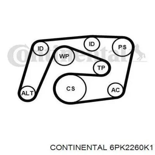 6PK2260K1 Continental/Siemens correa de transmisión