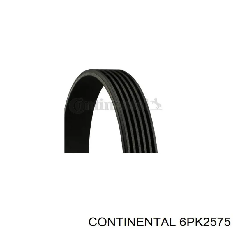 6PK2575 Continental/Siemens Correa poly v