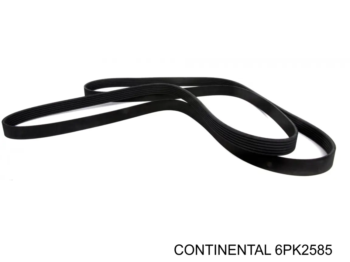 6PK2585 Continental/Siemens Correa poly v