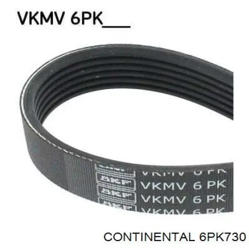 6PK730 Continental/Siemens Correa poly v