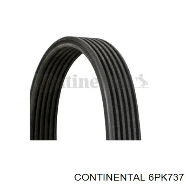 Correa de transmisión trapezoidal Continental/Siemens 6PK737 precio, desde 17,44 EUR