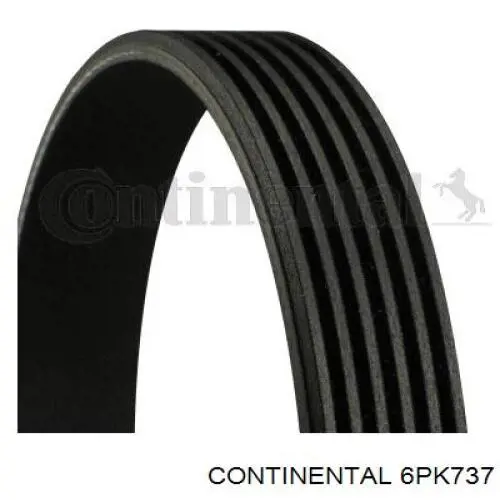 Correa de alternador 6PK737 Continental/Siemens