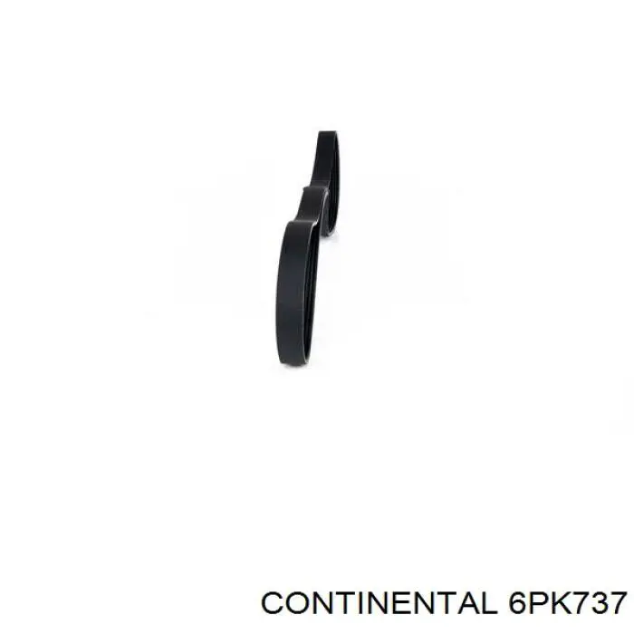 6PK737 Continental/Siemens Correa poly v