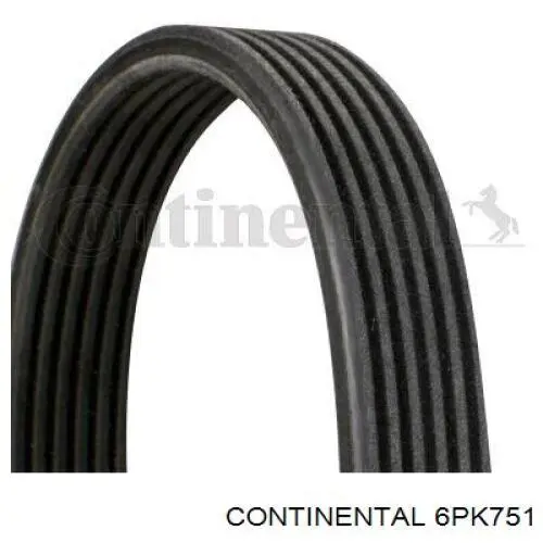 Correa de alternador 6PK751 Continental/Siemens