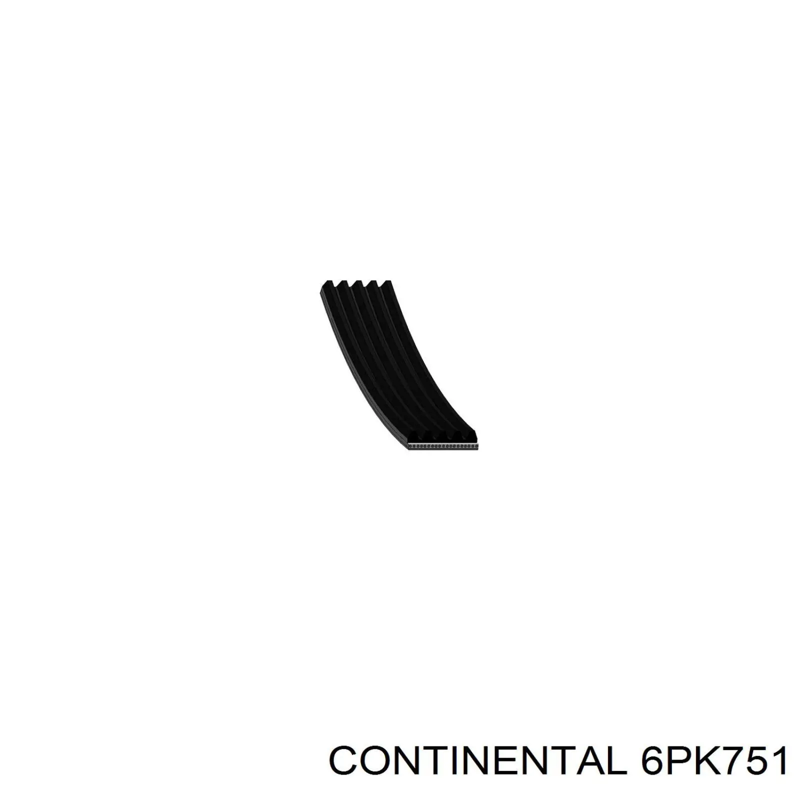 6PK751 Continental/Siemens Correa poly v