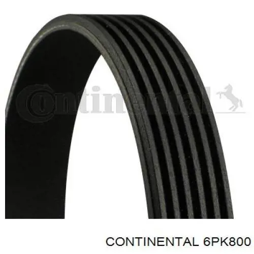 Correa de alternador 6PK800 Continental/Siemens
