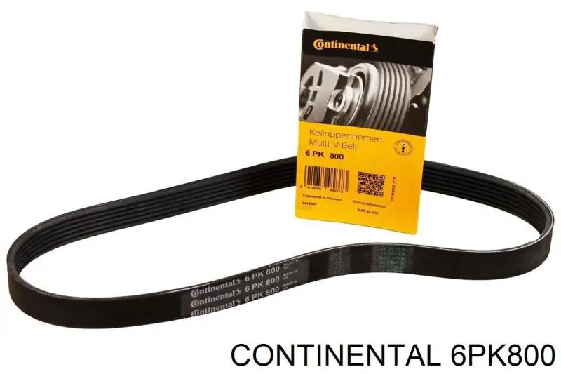 Correa de transmisión trapezoidal Continental/Siemens 6PK800 precio, desde 15,40 EUR