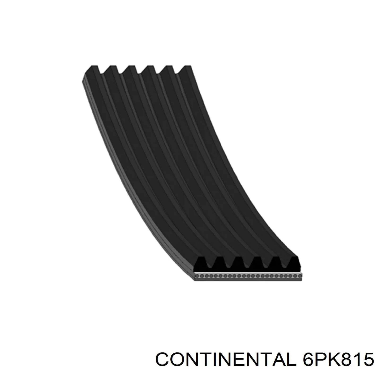 6PK815 Continental/Siemens Correa poly v