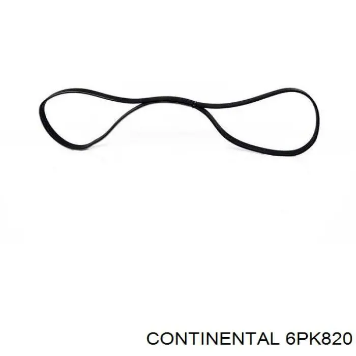 Correa de alternador 6PK820 Continental/Siemens